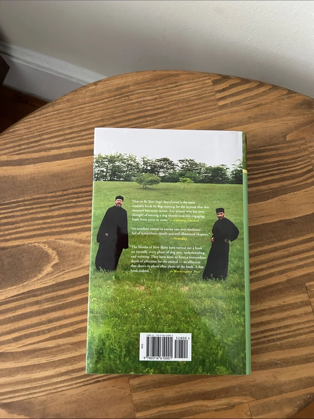 How to Be Your Dog's Best Friend - Green Hardcover by